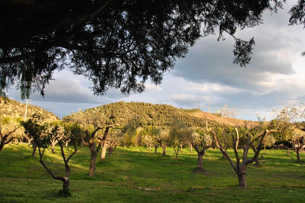 Agriturismo La Mandragola Relais Crotone Exterior foto
